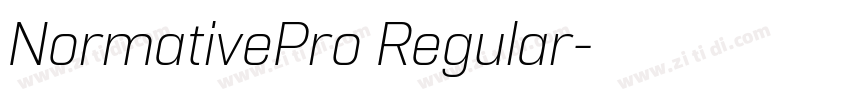 NormativePro Regular字体转换